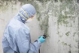 Best Industrial Mold Remediation  in Cloverdale, CA